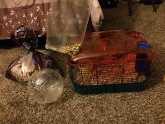 Hamster stuff