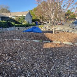 Free Redwood Mulch