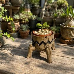Mythical Creature Planter Indoor & Outdoor Pot Desk Organizer