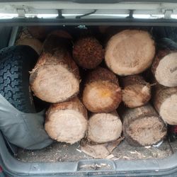 Firewood 