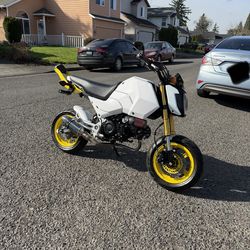 2025 Honda Grom