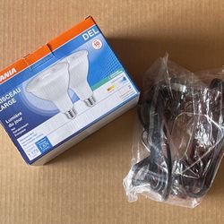 Clamp Light Sockets & Bulbs (set of 2)