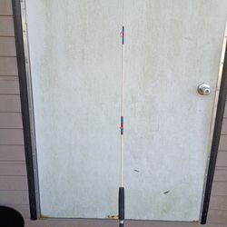 Graphite Saltwater Rod