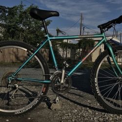 1992 HardRock Sport Green Specialized Bike (BEST OFFER$