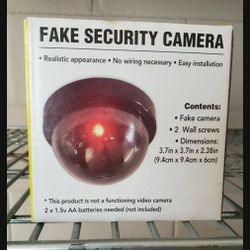 4 FAKE camaras