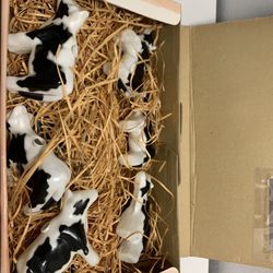 Cow Light Attachments