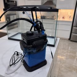 Aquarium What The Filter