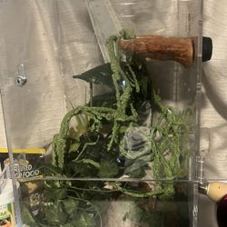 reptile/gecko enclosure
