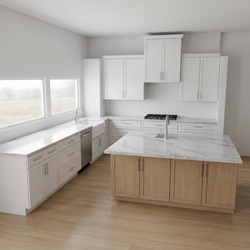 Affordable kitchen cabinets birch wood
