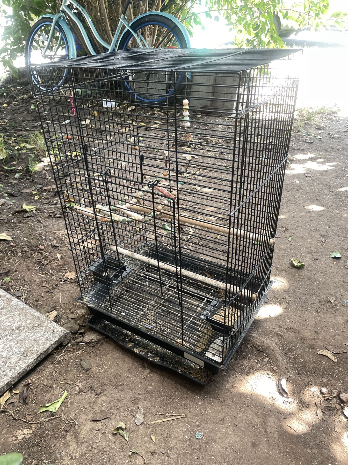 Bird Cage