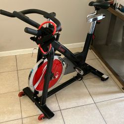 Sunny Exercise Bike