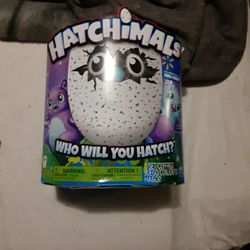 HATCHIMALS Egg Hatch
