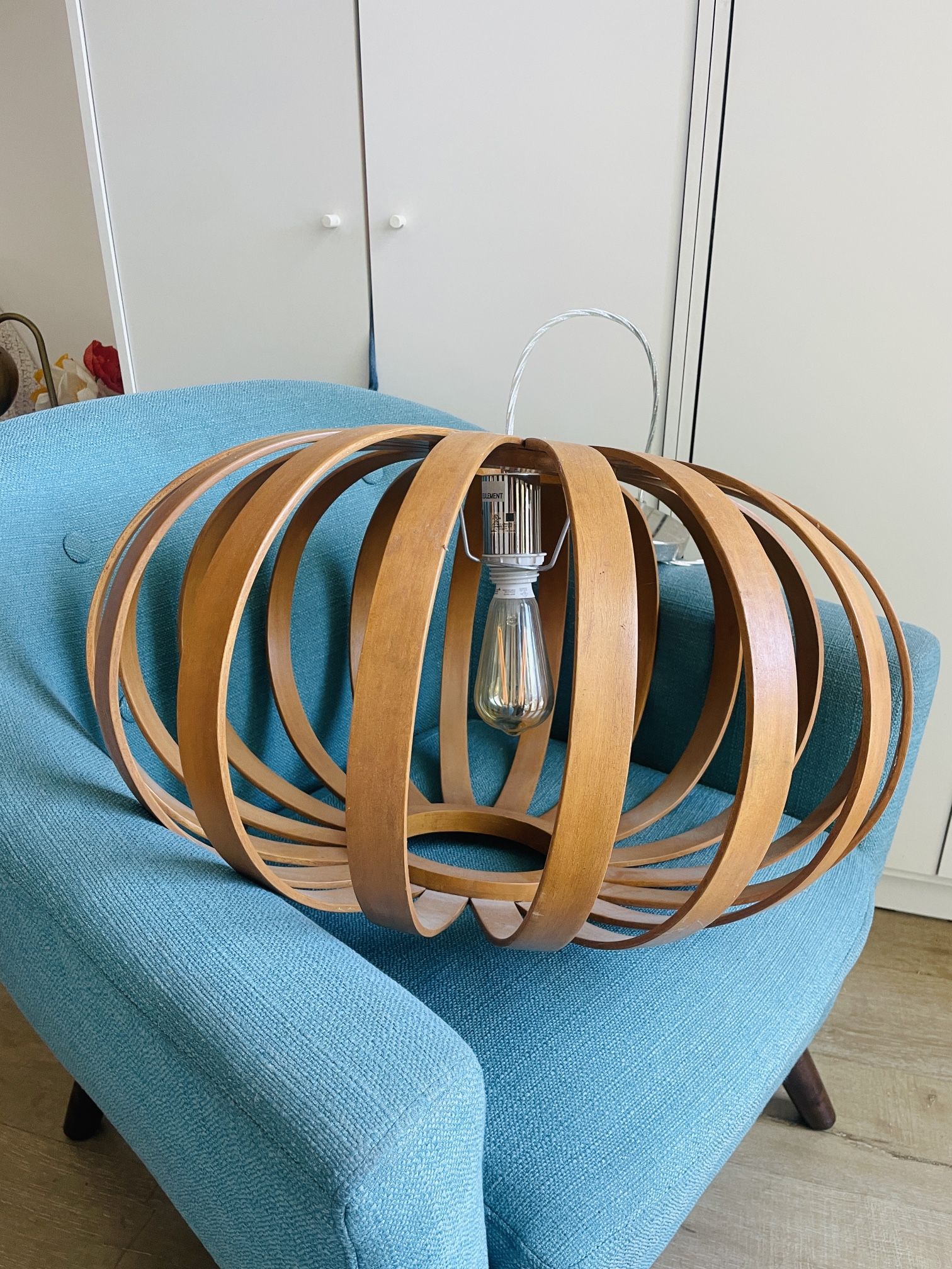 West Elm Hanging Pendant Light