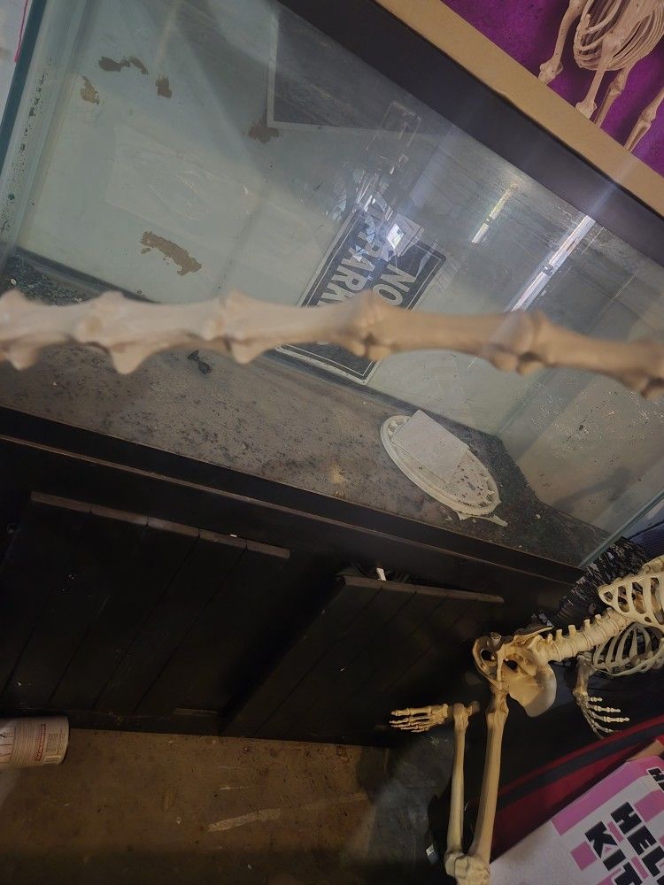 90 Gallon aquarium $200