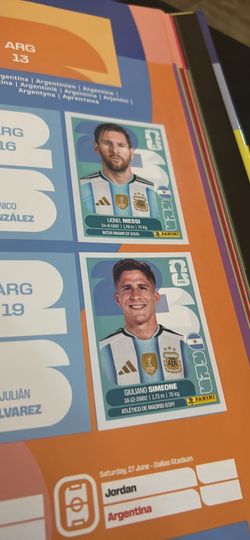 Panini World Cup stickers and book (read description)