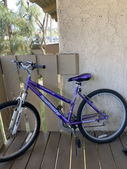 Adult Bike