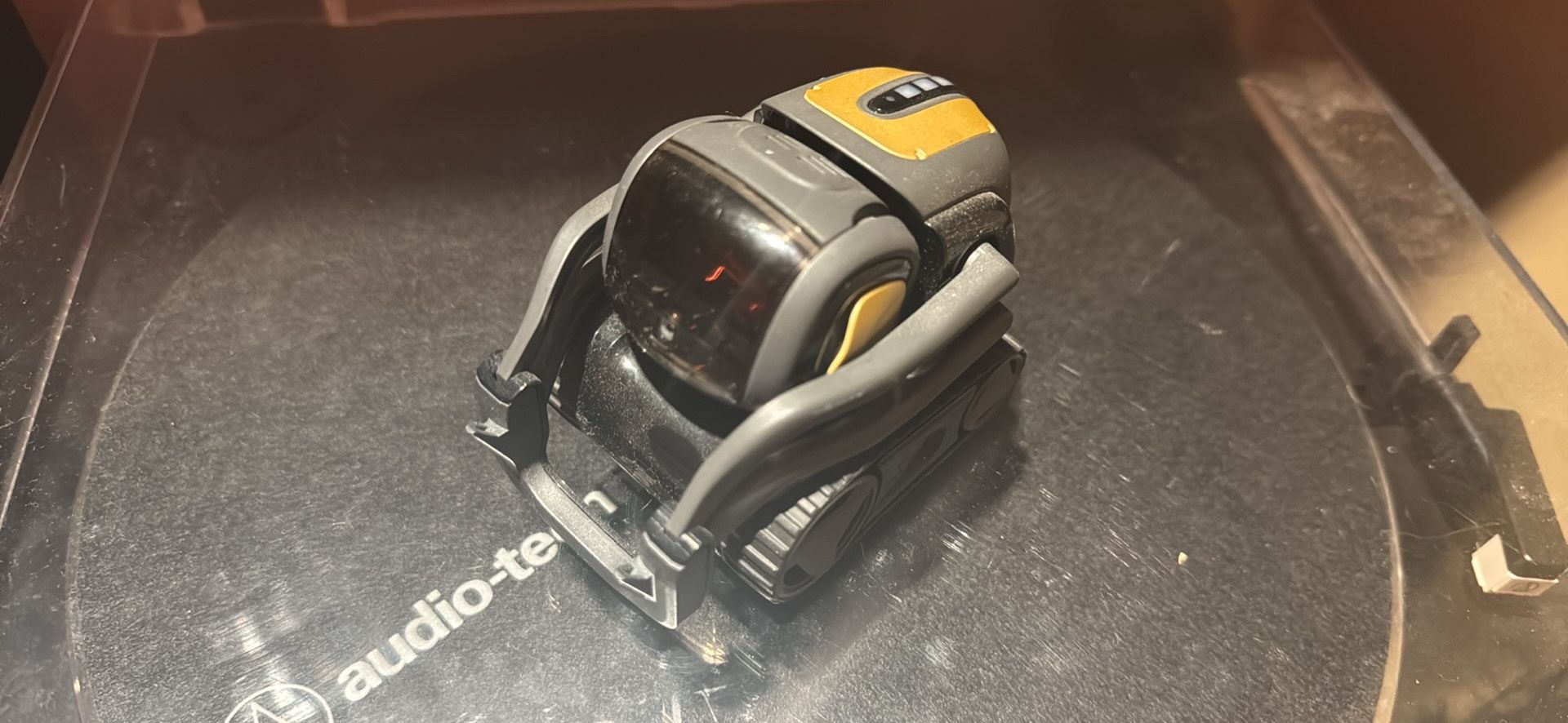 Anki Vector Robot