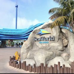 1 Seaworld Ticket Left $10