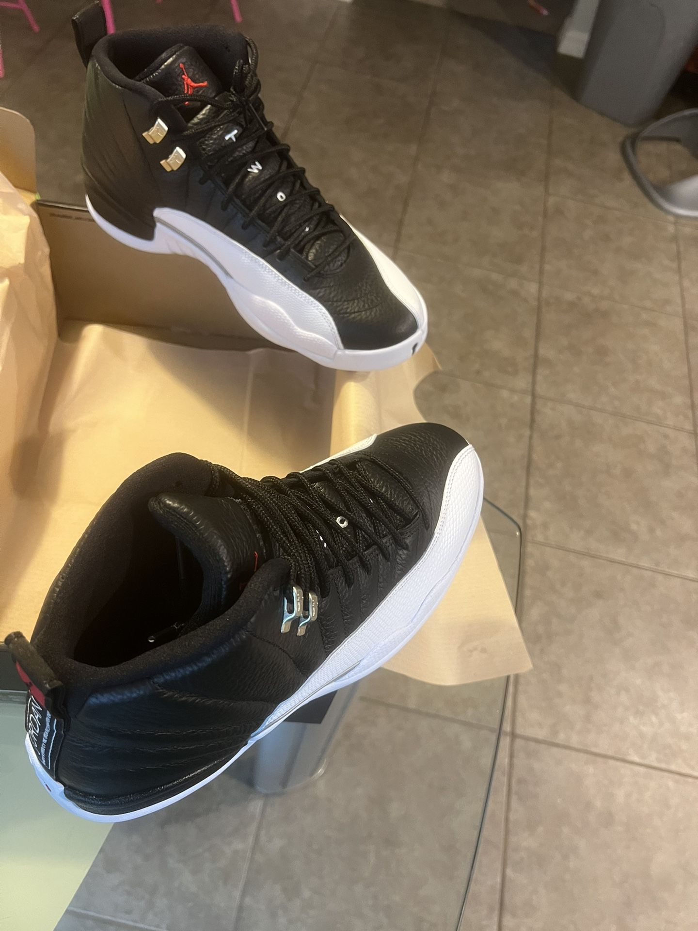 Air Jordan 12