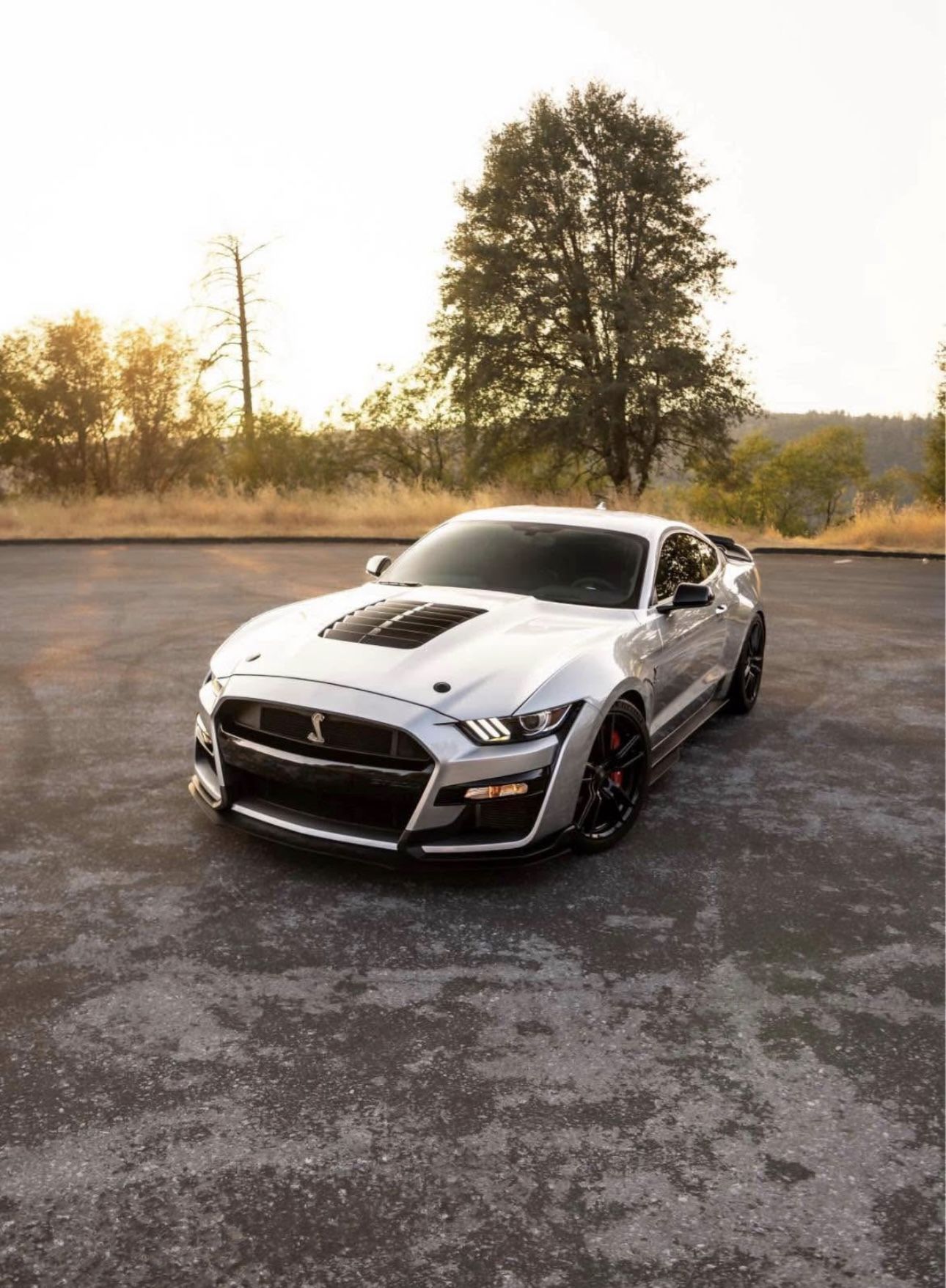 2020 Ford Shelby Gt500