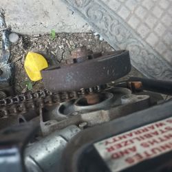 Levantamos Fiero Viejo Gratis Gratis