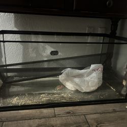 Reptile Cage
