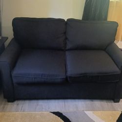 Black Twin Sofa Sleeper