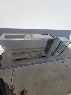 fish tank