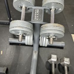 Adjustable Weights With Bench