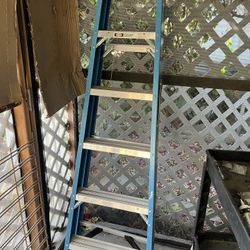 Werner Ladder 