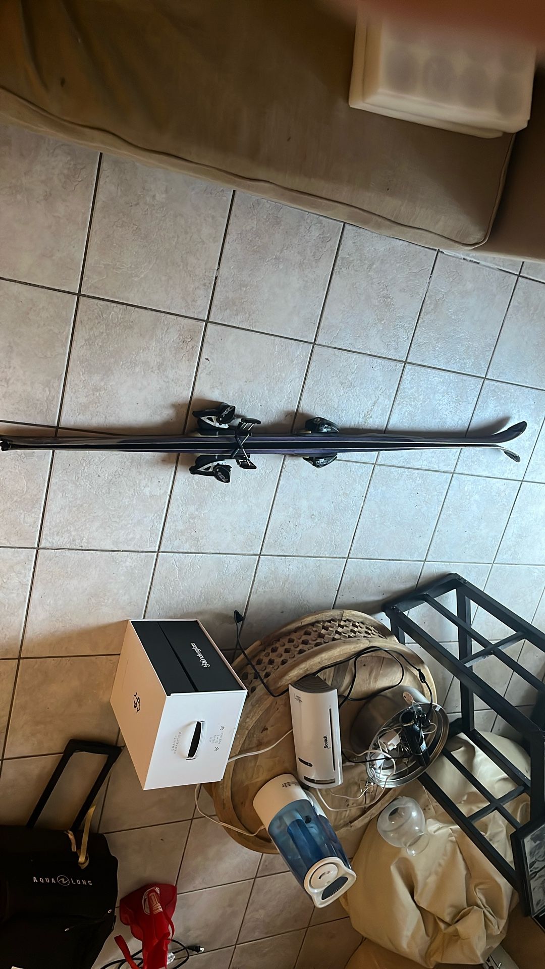 Salomon skis