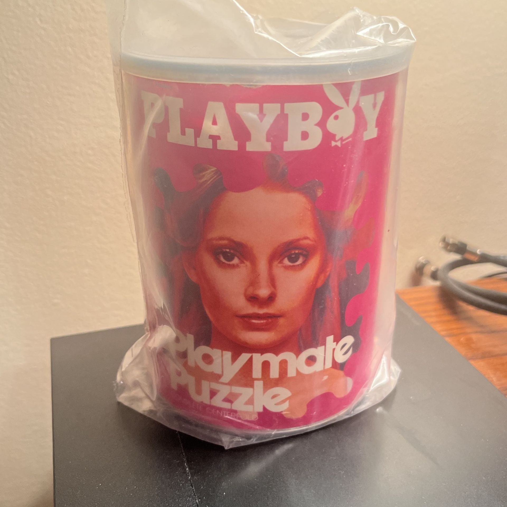 Cyndi Wood 1973 Playmate Puzzle Playboy SEALED