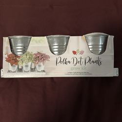 Polka Dot Plants Grow Kit
