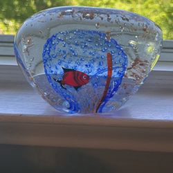 Aquarium Paperweight 