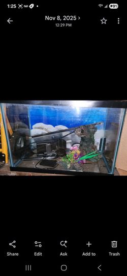 Fish tank  2ft wide by 1ft long