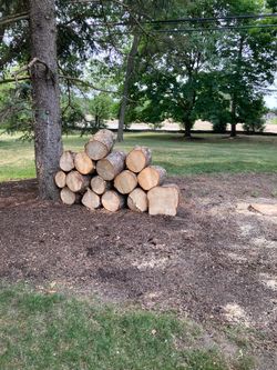 Logs