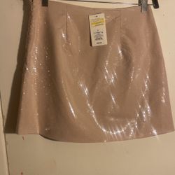 A New Day Sparkly Skirt 
