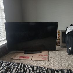 VIZIO Flat Screen Tv