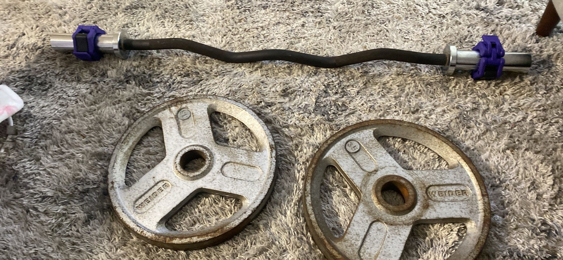 Two 35lb Metal Olympic Plates And Curl Bar