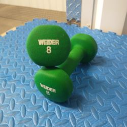 8 Lb Dumbbells