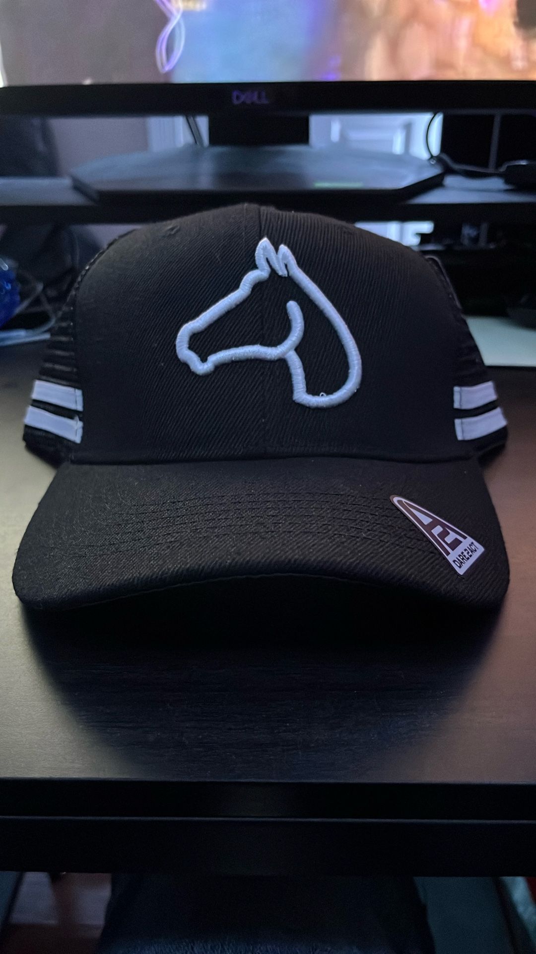 Horse hat