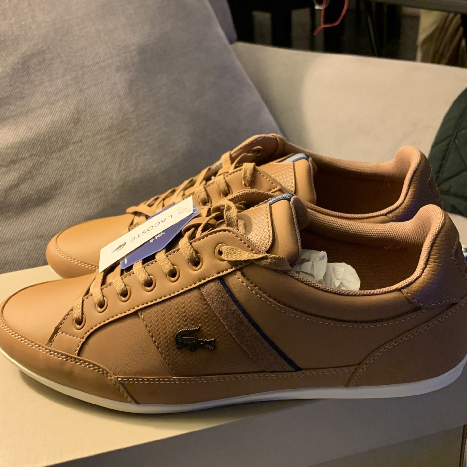 Lacoste Men Shoes USA Size  Never Used for Sale in Pomona, CA - OfferUp