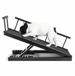Dog ramp