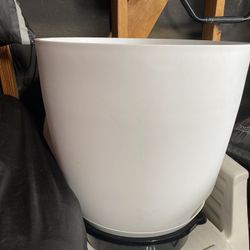 Big Plant Pot 
