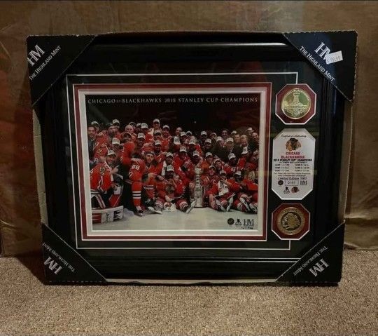 Chicago Blackhawks 2015 Stanley Cup Champions Team Picture