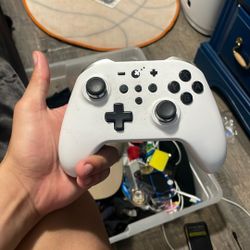 Nintendo switch pro controller