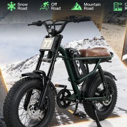 DS D77 Electric Bike Teens,, 16x4 Fat Tire, 1000W Peak Power, 48V 15Ah 5-Speed
