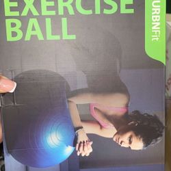 Brand New Exercise Balls 
