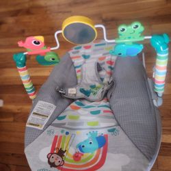 Baby Bouncer.