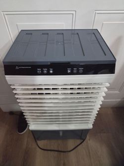 Portable cooler